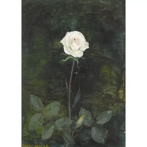Hans Zaugg — Weisse Rose.
