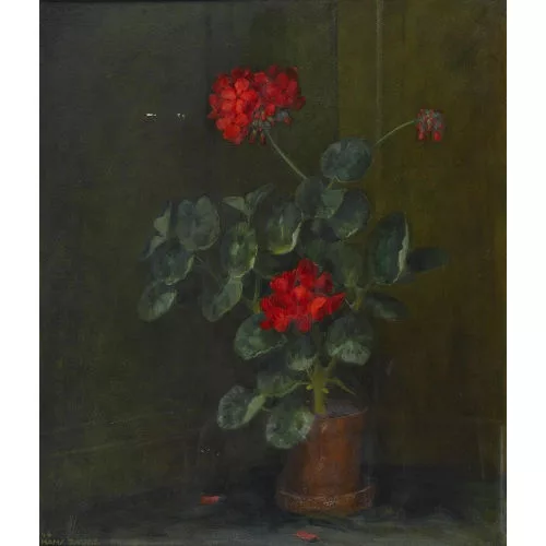Hans Zaugg — Rote Geranien in Blumentopf.