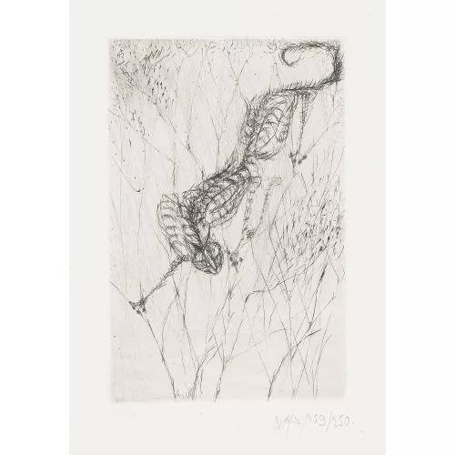 Hans Fischer — Kletterkatze.