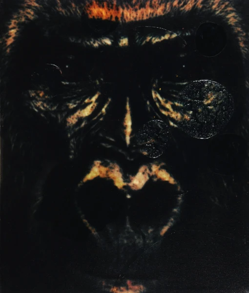 Hanspeter Hofmann — Ohne Titel, 2006