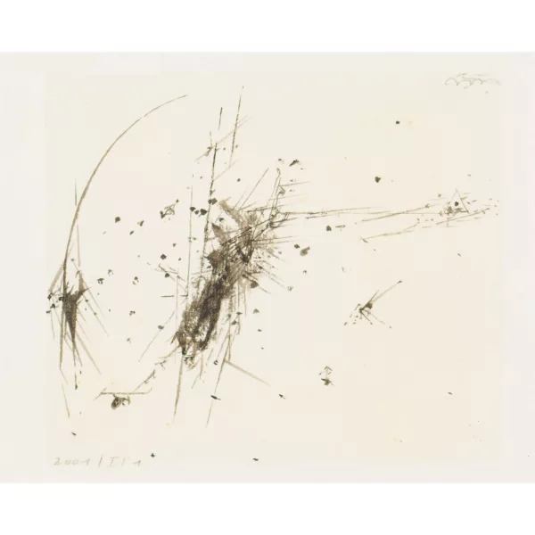 Harald Naegeli — Ohne Titel.