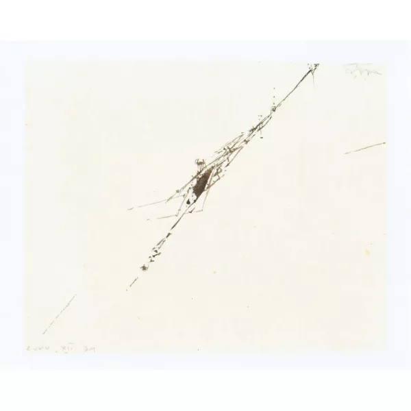 Harald Naegeli — Ohne Titel.