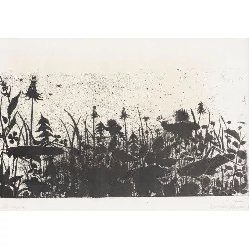 Harold Studer — Menschliche Feldblumen.
