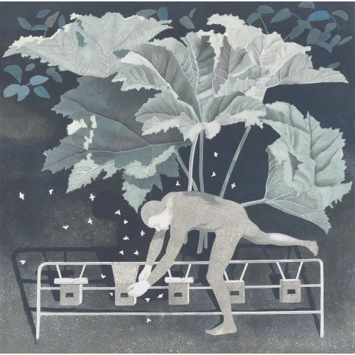Harold Studer — Ohne Titel.