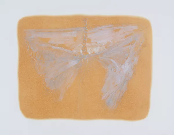Heidi Bucher — Ohne Titel, 1979
