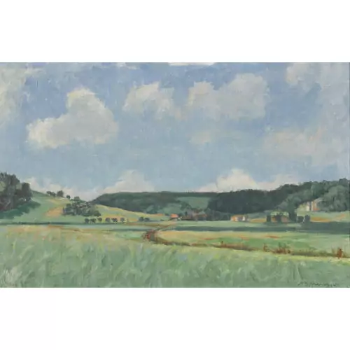 Sonnige Wiesenlandschaft