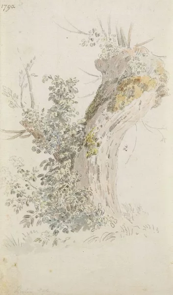Heinrich Rieter — Baumstudie