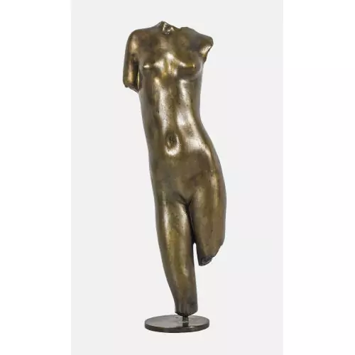 Torso