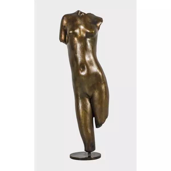 Torso