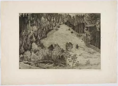 HELEN DAHM — 1. Landschaft mit Büschen und Bäumen, 1907; 2. Baumgruppe an einem Abhang, 1907; 3. Nadelwald mit Lichtung. — Koller Auktionen