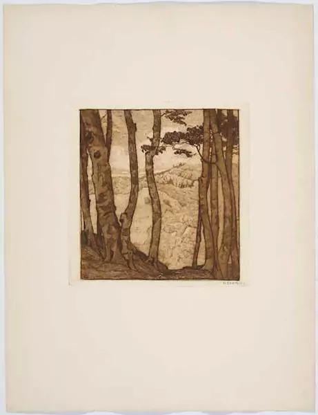 HELEN DAHM — 1. Wolkenformationen über einer weiten Landschaft, 1905; 2. Baum am Wegesrand, o.J.; 3. Baumstämme vor hügeliger Landschaft, 1909. — Koller Auktionen