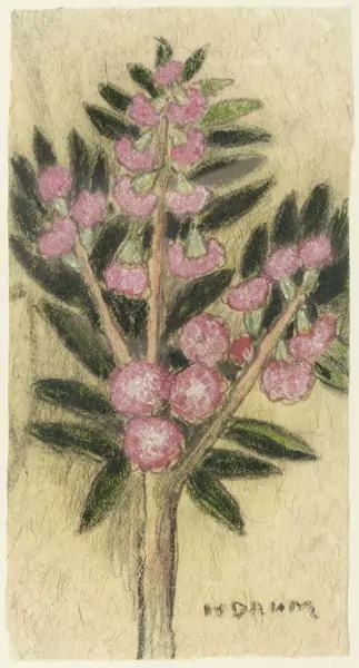 HELEN DAHM — Blütenzweig. — Koller Auktionen