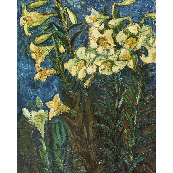 Lilien