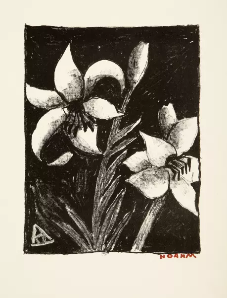 Lilien