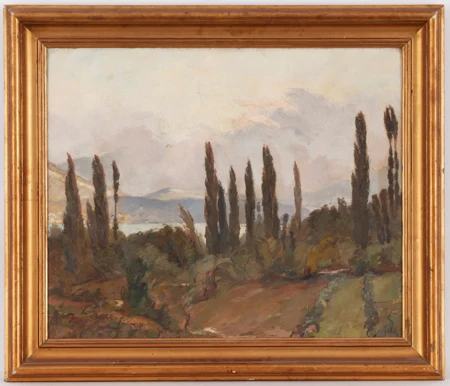 Paysage lacustre