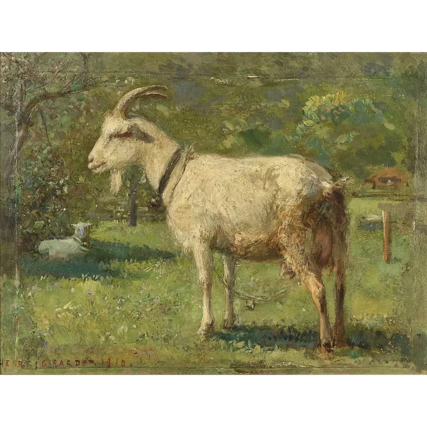 Henri Girardet — "La chèvre blanche".