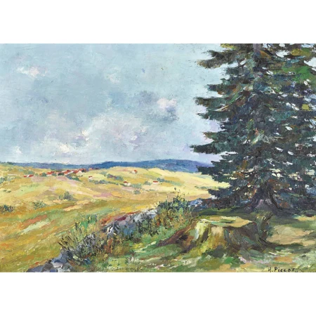 Paysage