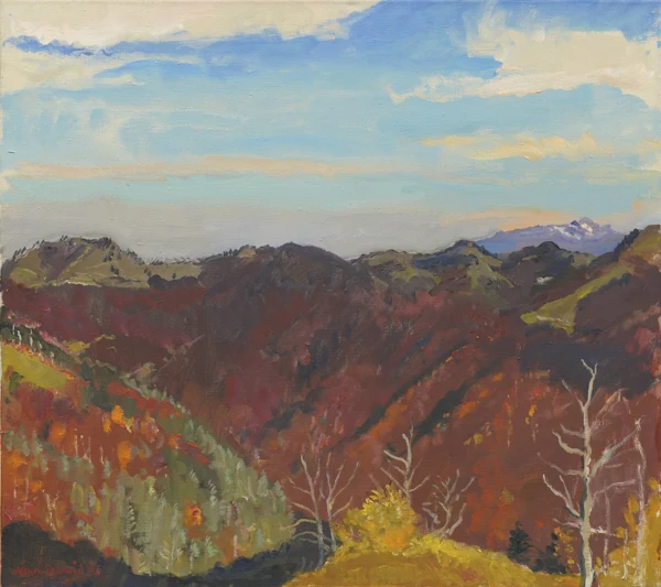 Henri Schmid — Schnebelhorn bis Säntis, 1996