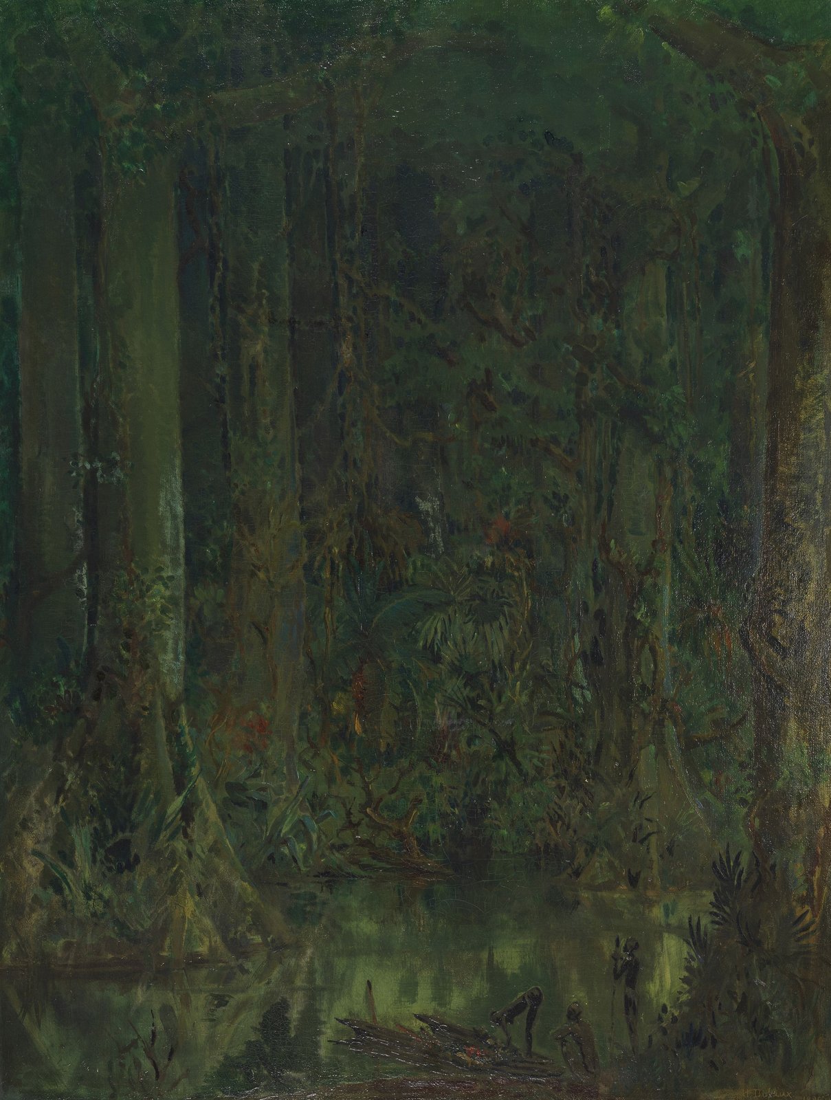 Forêt vierge inondée