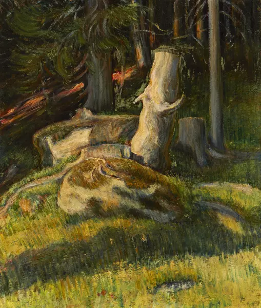 Waldinneres