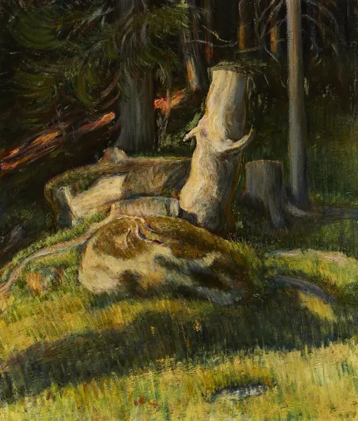 Waldinneres