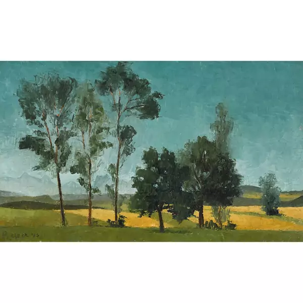 Sommerlandschaft