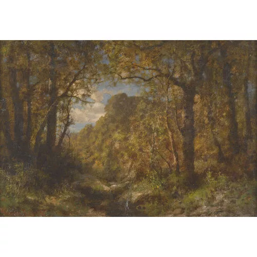 Hermann Rüdisühli — Waldlichtung.