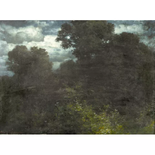 Hermann Rüdisühli — Waldstück in nächtlichem Licht.