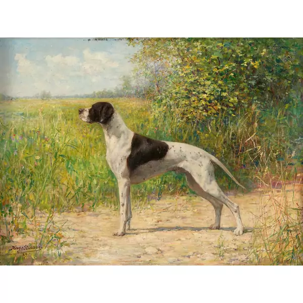 Jagdhund in der Landschaft