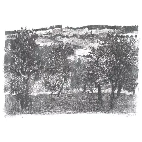Hugo Wetli — Konvolut.