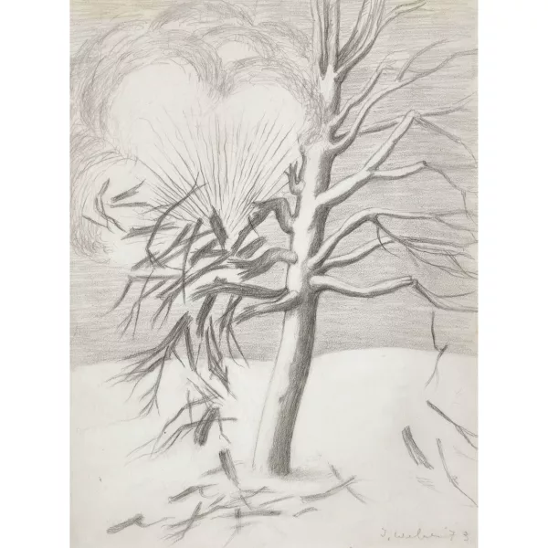 Ilse Weber — Baum im Winter.
