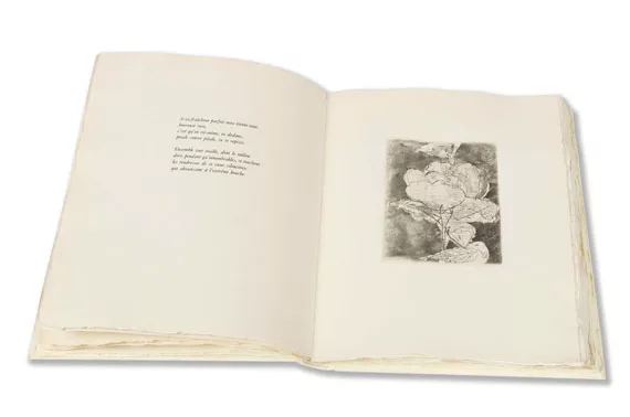 Imre Reiner — Les Roses