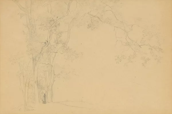 Camille Pissarro — Titolo originale: Paysanne entre les arbres,