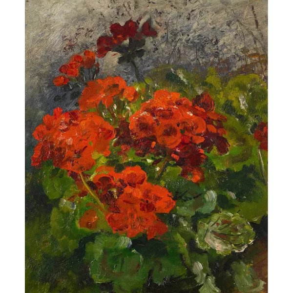 Anna Peters — Geraniums.