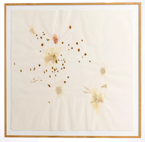 José María Sicilia — In fiore,