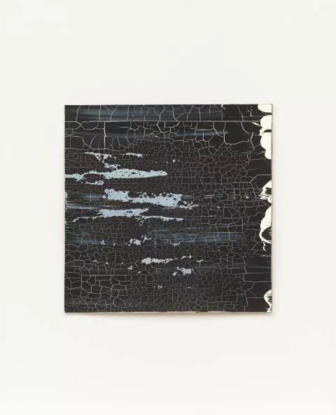 Gerhard Richter — Souvenir