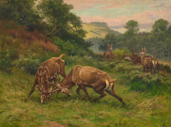 Georges Frédéric Rötig — Kämpfende Hirsche