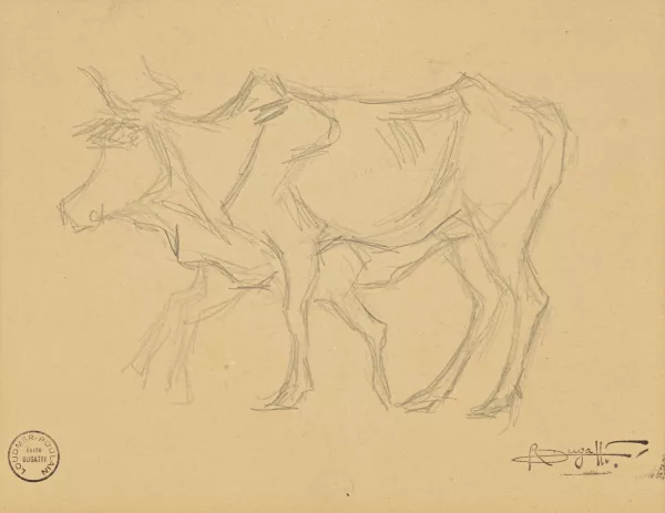 Rembrandt Bugatti — Originaltitel: Etude d'un taureau