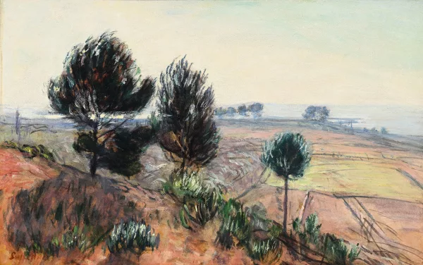 René Seyssaud — Les Pins du Palous