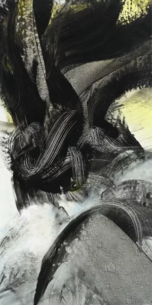 Monique Orsini — "Série Nuages flottants",