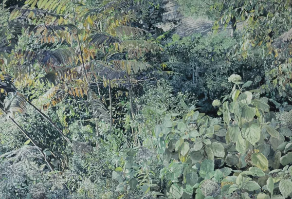 William Nichols — William Nichols (1942), \\Fall foliage on Maryland,