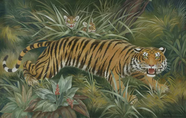 Charles Baskerville — Charles Baskerville (1896-1994), \\Tigre dans la