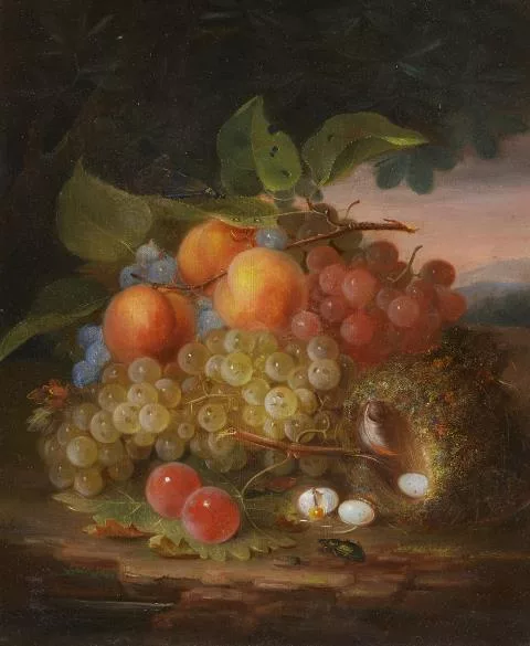 George Forster — Stillleben mit Früchten und Vogelnest