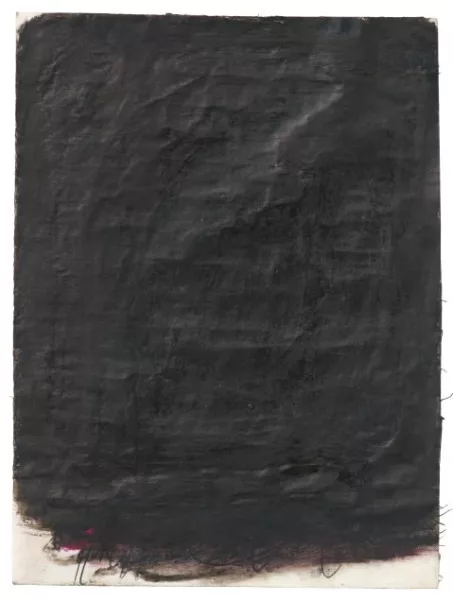 Arnulf Rainer — Zudeckung