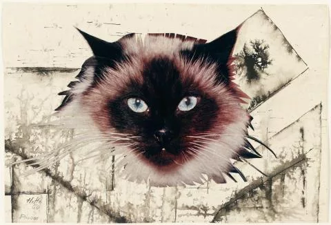 Hannah Höch — Perser
