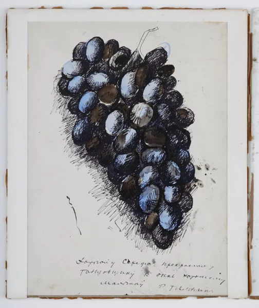 Pavel Tchelitchev — Grappe de raisin