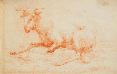Johann Heinrich Roos — Ruhender Schafsbock