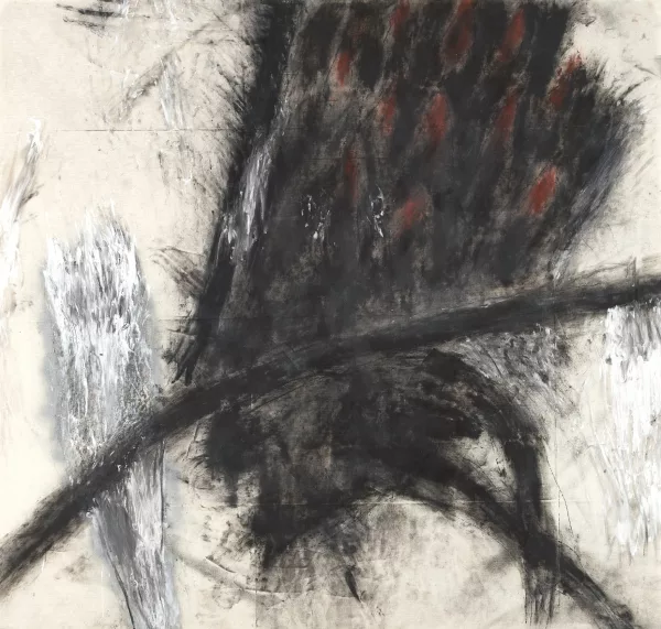 Arcangelo — Ultima campagna italiana, 1985