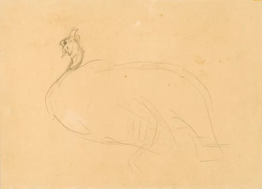 Henri de Toulouse-Lautrec — Dindon, 1899