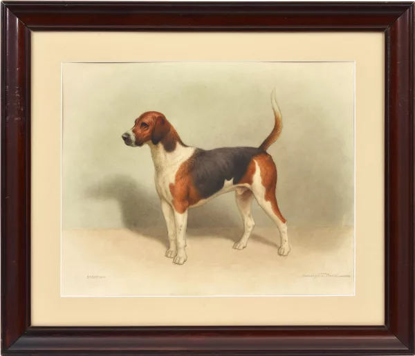 Harrington Bird — Scorpion, chien,